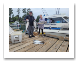 August 12, 2024 : 19, 17, 14, 13 lbs Chinooke Salmon Mark & Brenda from Penticton with Sandy and Traci from Victoria BC