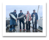 August 19, 2024 : 15, 14, 13, 13 lbs Chinooke Salmon - Wolsley group trip with 7 boats