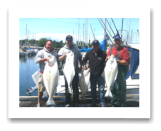 May 20, 2014: 23, 25, 28, 38 lbs. Halibut - Constance Bank -  Vet's Day out with Ray, Bud, Don, & Roy