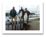 May 24, 2014: 17, 24, 29 lbs. Halibut - Constance Bank -  Dave, Blair, Marcel, & Jerry from Montreal and Victoria