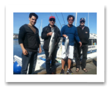 June 7, 2014: 6, 12 lbs. Chinook Salmon - Constance Bank -  McLlenan Ross Crew from Edmonton Alberta and Yellowknife NT