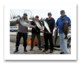 June 27, 2014 : 18, 17, 13, 11 lbs. Chinook Salmon and small Halibut - Sheringham  Point -  John, John, & Dave from Victoria with Rob from Australia