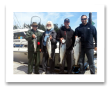 July 18, 2014 : 17, 14, 8 lbs. Chinook Salmon & Hatchery Coho - Race Rocks - Trevor from Winnipeg, Russ from Whitehorse, Shawn & Al from Sooke and Victoria