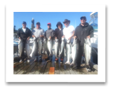 August 2, 2014 : 15, 16, 17, 18, 18, 19, 20, 20, 21, 24, 29.5 lbs. Chinook  - Otter Point - Sooke Salmon Enhancement Fishing Derby Day 1 of 2 - The Morin Group from Vancouver BC and Alberta