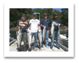 August 9, 2014 : 17,16,16,15 lbs. Chinook and Sockeye Salmon- Muir Creek - Singer Valve Crew Day 2 of 2