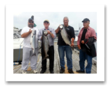 August 18, 2014 : 20, 19, 15 lbs. Chinook Salmon - Otter Point - Day 1 of 3 -  Big Al, Don, Dave, & Walter from Calgary Alberta