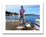 September 9, 2014 : 25, 18, 16 lbs. Chinook Salmon & limit of Coho Salmon  - Muir Creek - Buddy Day out with Roy and Glen from Victoria BC