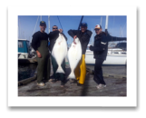 March 14, 2015 : 47 & 41 lbs. Halibut - Race Rocks - Dan, Adam, Trevor, & Mike from Victoria BC