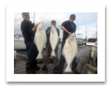 March 28, 2015 : 58, 34, 29 lbs. Halibut - Sydney Channel - The Tino Family. Phil, Cathy, & Drake from Idaho