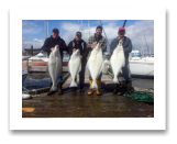 April 12, 2015 : 41, 38, 30, 27 lbs. Halibut - Clover Point - Jim Stephen, Barry Mungham, Spencer Tickner, & Don Duvall