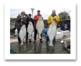 April 13, 2015 : 65, 59, 32, 28 lbs. Halibut - Clover Point - Dennis, Pat, Ryan, & Stephanie from Victoria BC.