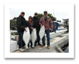 May 25, 2015 : 24, 23, 18 lbs. Halibut - Race Rocks - Terra, Paul, George, & Ron from Duncan BC