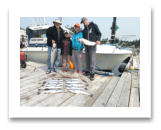 July 8, 2015 : 19 & 11 lbs. Chinook Salmon Coho Salmon & Limit of Pink Salmon - Sheringham PT - Luke, Skye, Howard, & Oliver from Red Deer and Victoria BC