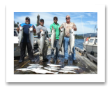 August 23, 2015 : 17 to 12 lbs. Chinook Salmon & Limit of Coho & Pink Salmon - Day 1 of 3 - Otter Point - Big Al, Dave, & Cory from Calgary Alberta with Joey from Kelowna BC