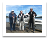 September 5, 2015 : 17, 15, 14, 13, 9 lbs. Chinook Salmon & Hatchery Coho - Otter Point - Terry & John from California with Brent from Vancouver BC