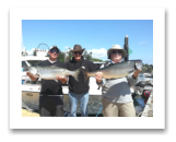 July 31, 2016 : 16 & 16 lbs. Chinook Salmon - Otter Point - Sooke Derby Day 2 of 2 - 14th & 15th place for The Morin Group and Charlie from Alberta & Victoria BC